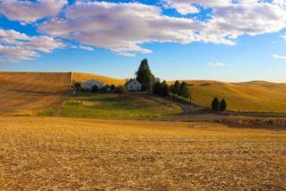 5007 Bradshaw Rd, Spangle WA  99031-9764 exterior