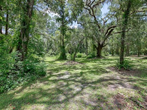 12089 35th Dr, Ridge Manor Estates, FL 33597-7416
