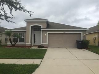 1002 Cristelle Jean Dr, Ruskin FL  33570-7938 exterior