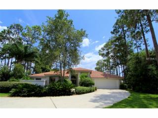 4971 Camberley Ln, Oldsmar, FL 34677-5114
