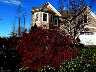 14024 Wiley Cir, Midlothian VA  23114-5578 exterior