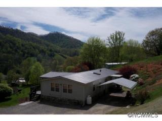 121 Gradys Ln, Canton, NC 28716-6463
