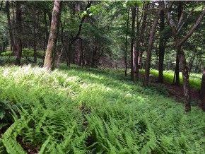 205 Rolston Rd, Fayston, VT 05673-6179