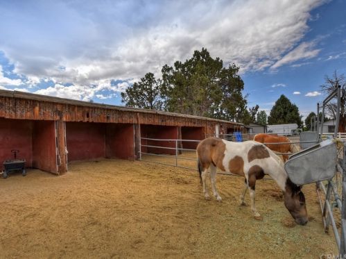 1556 Shay Rd, Big Bear City CA  92314-9180 exterior