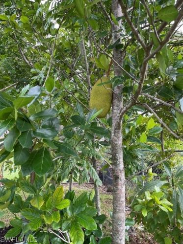 206 Floyd Ave, Lehigh Acres FL 33971-1716 exterior