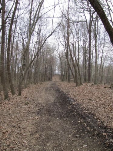 24480 Bushby Rd, Laurelville OH  43152-9712 exterior