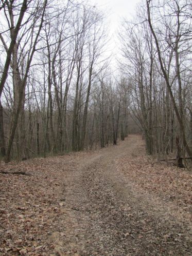 24480 Bushby Rd, Laurelville OH  43152-9712 exterior