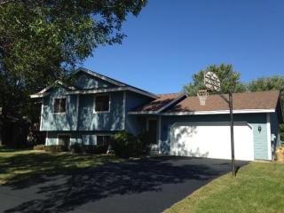 16120 Dodd Ln, Lakeville, MN 55068-1300