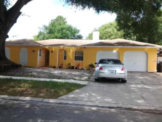 3106 Apricot St, Seffner, FL 33584-6002