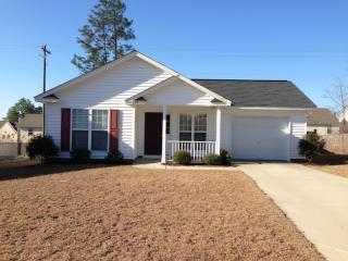 237 Stagone Ln, Lexington SC  29073-2100 exterior