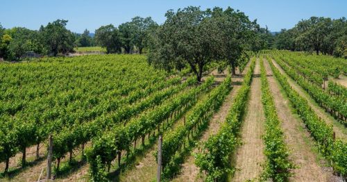 1619 Willowside Rd, Santa Rosa, CA 95401-3965