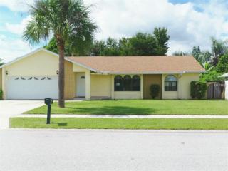 12228 Viti St, Orlando, FL 32837-9569