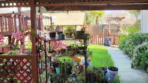 102 Sonora Ct, Oakley, CA 94561-3953