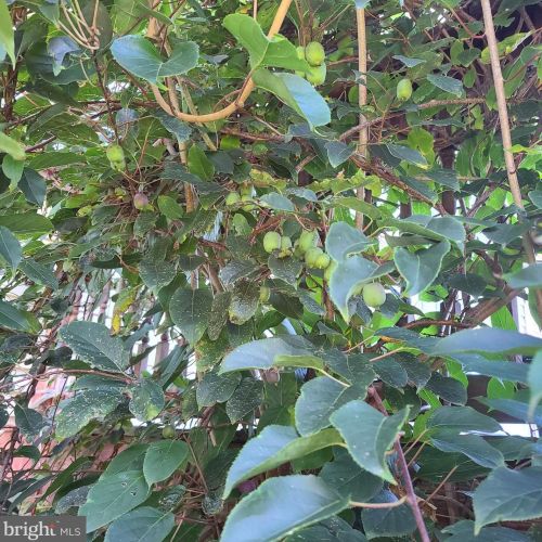 1139 Wilson Ave, Glen Mills PA  19342-9610 exterior