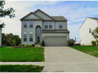 3498 Hastings Dr, Medina, OH 44256-6207