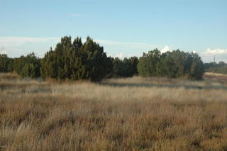 3834 Ramsay Rd, Snowflake AZ  85937-6189 exterior