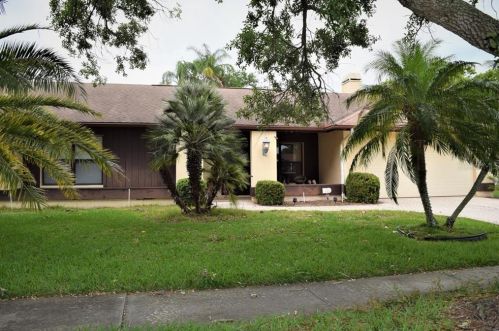 2969 Pinewood Run, Palm Harbor, FL 34684-4920