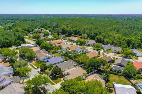 4784 Ridgemoor Cir, Palm Harbor FL  34685-3149 exterior