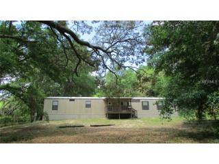 17260 248th Ter, Umatilla, FL 32784-9145