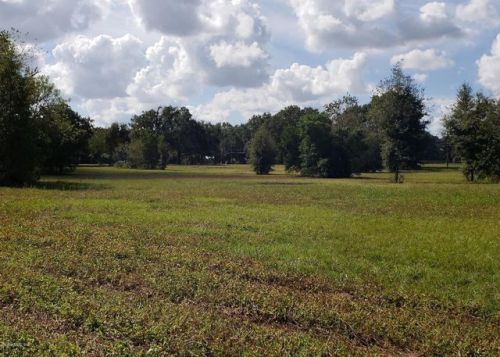 11 49th St, Ocala, FL 34479-1633