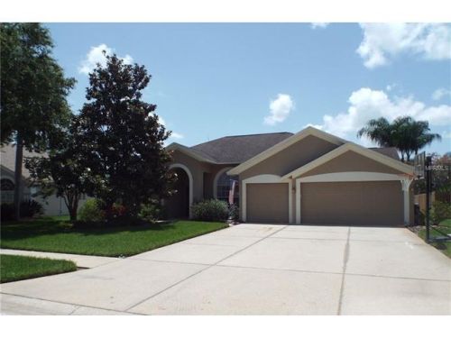 4742 Stonebriar Dr, Oldsmar, FL 34677-4853