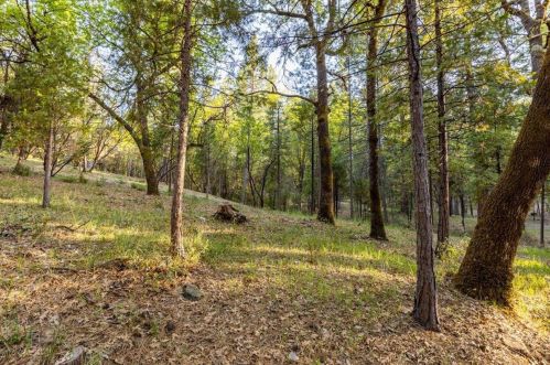 13407 Thoroughbred Loop, Grass Valley CA  95949-7691 exterior