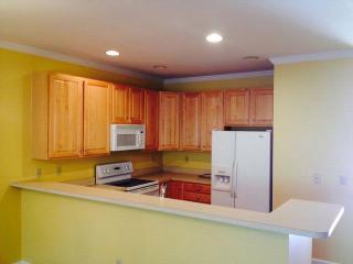 157 Etiwan Pointe Dr, Mount Pleasant SC  29464-7929 exterior