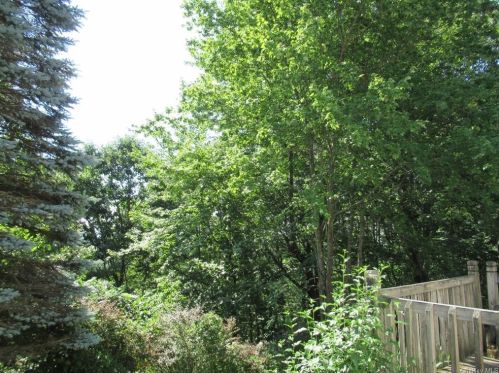 101 Shale Dr, Middletown NY  10940-7121 exterior