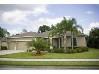 530 Morgan Wood Dr, Deland, FL 32724-8459