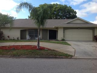 12216 Buttonwood Row, Port Richey, FL 34667-2621