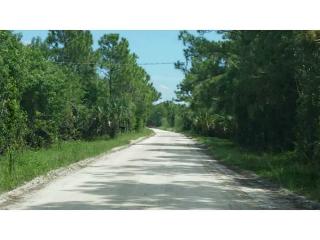 4845 200th Trl, Town Of Loxahatchee Groves, FL 33470-2228