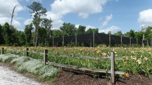 1240 Enterprise Osteen Rd, Deltona FL  32725-9401 exterior