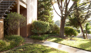 3600 Pine St, Pacheco CA  94553-8505 exterior
