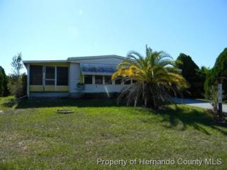 9176 Salisbury Dr, Brooksville, FL 34613-4974