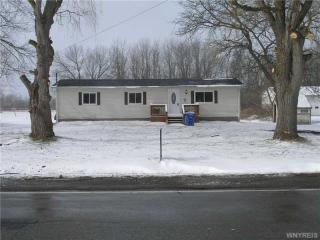 3626 Orangeport Rd, Gasport, NY 14067-9316