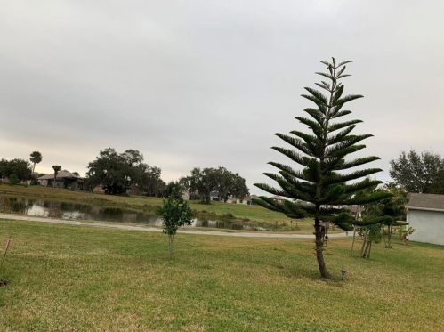 2103 Eagleview Ct, Kissimmee FL 34746-4505 exterior