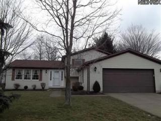 393 Topaz Ln, Brunswick, OH 44212-1153