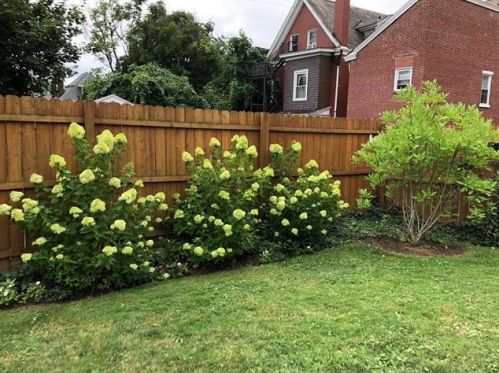 6108 Stanton Ave, Pittsburgh PA  15206-2266 exterior