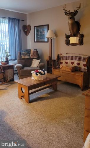 208 Laurel Ct, Lincoln Colliery, PA 17963-9742