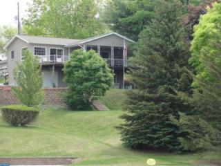 825 Wynonah Dr, Brommerstown, PA 17922-9403