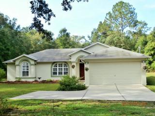 24454 Evaline St, Brooksville, FL 34601-4910