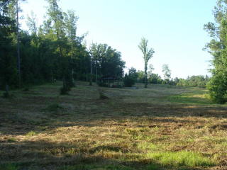 3910 Dean Rd, Pinson, AL 35126-2061