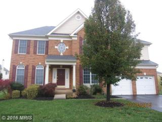 43679 Lucketts Bridge Cir, Ashburn, VA 20148-6722