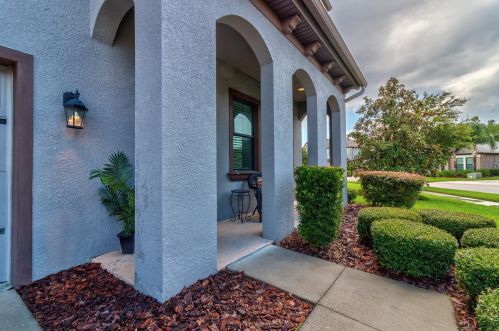 8239 Swiss Chard Cir, Land O Lakes FL  34637-7662 exterior