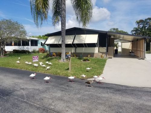 4061 70th Ct, West Palm Beach, FL 33404-5855