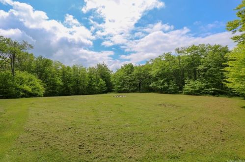 150 Old Hunter Rd, Lew Beach, NY 12758-5719