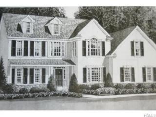 46 Hudson Pointe, Monroe, NY 10950-7109