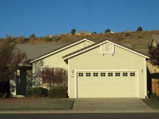 3406 Long Dr, Minden, NV 89423-7704