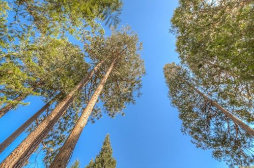 13953 Carver Dr, Nimshew CA  95954-9501 exterior