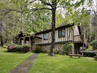 2 Timothy Ln, Biltmore Lake, NC 28715-9406